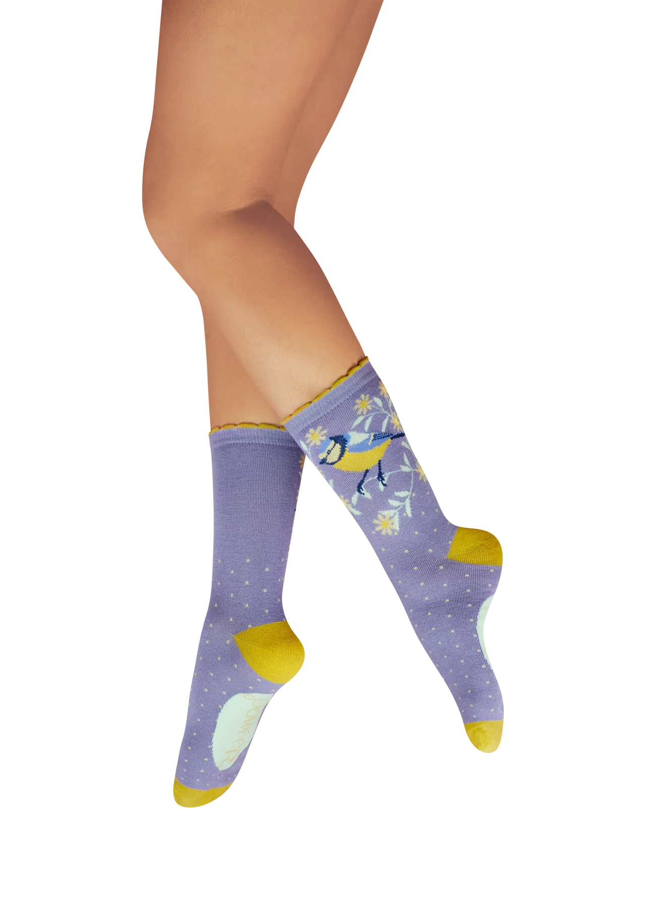 Powder Blooming Blue Tit Socks In Lavender