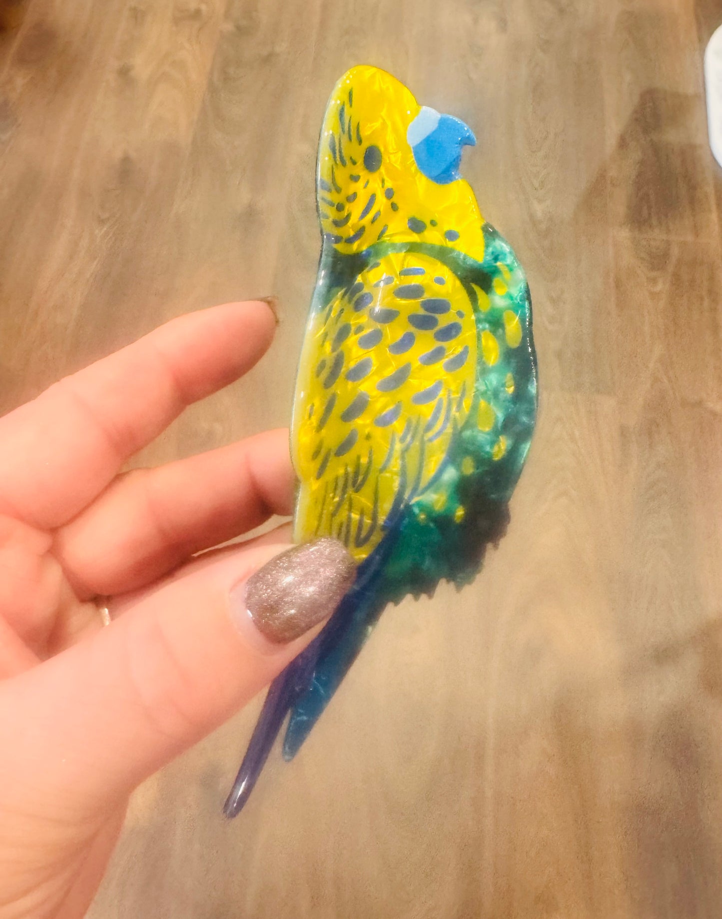 DMB Green / Blue  Parrot Hair Claw Clip